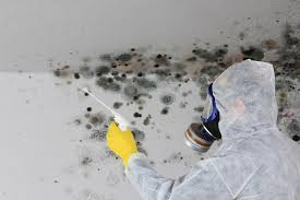 Best Forensic Mold Investigation in Healdton, OK